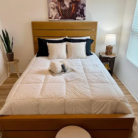 Apartment Modern South Townhome Near Carowinds *