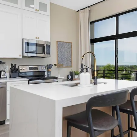 The Eighth Luxury Penthouse In Fourth Ward Apartment Charlotte