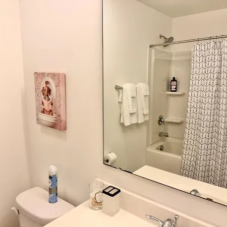 Modern South Townhome Near Carowinds Apartment *