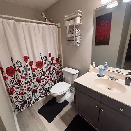 Holiday home Near Uptown-sleep 6-nfl Game Day Getaway Charlotte