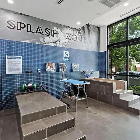 Near Dt Cpcc Lynx With Pool Gym Wd Parking Apartment Charlotte