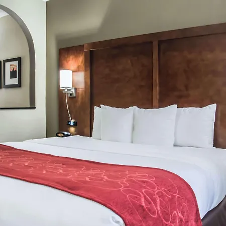 Comfort - Research Park 4*