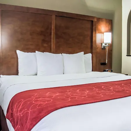 Comfort - Research Park Charlotte