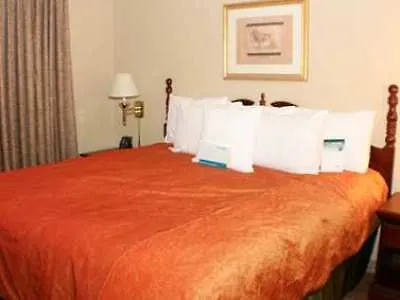 Hotel Homewood By Hilton Airport Charlotte