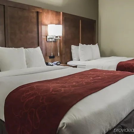 Comfort - Research Park Charlotte