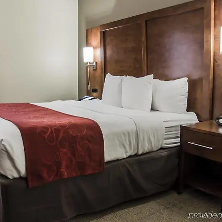Comfort - Research Park Hotel Charlotte