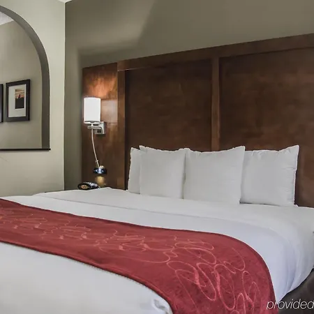 Comfort - Research Park 4*