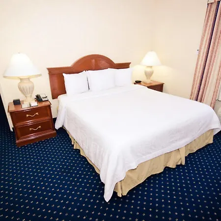 Hilton Garden Uptown 3* Charlotte