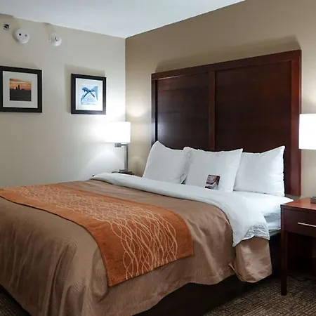 Inn Comfort Airport Uptown
