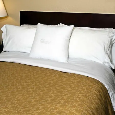 Hotel Homewood North Unc Research