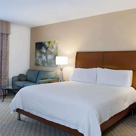 Hilton Garden North Hotel 3*