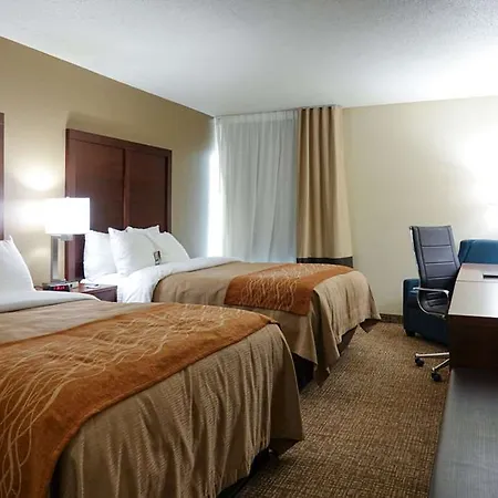 Comfort Airport Uptown Inn Charlotte
