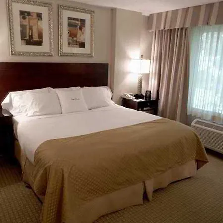 Doubletree By Hilton Airport 4*