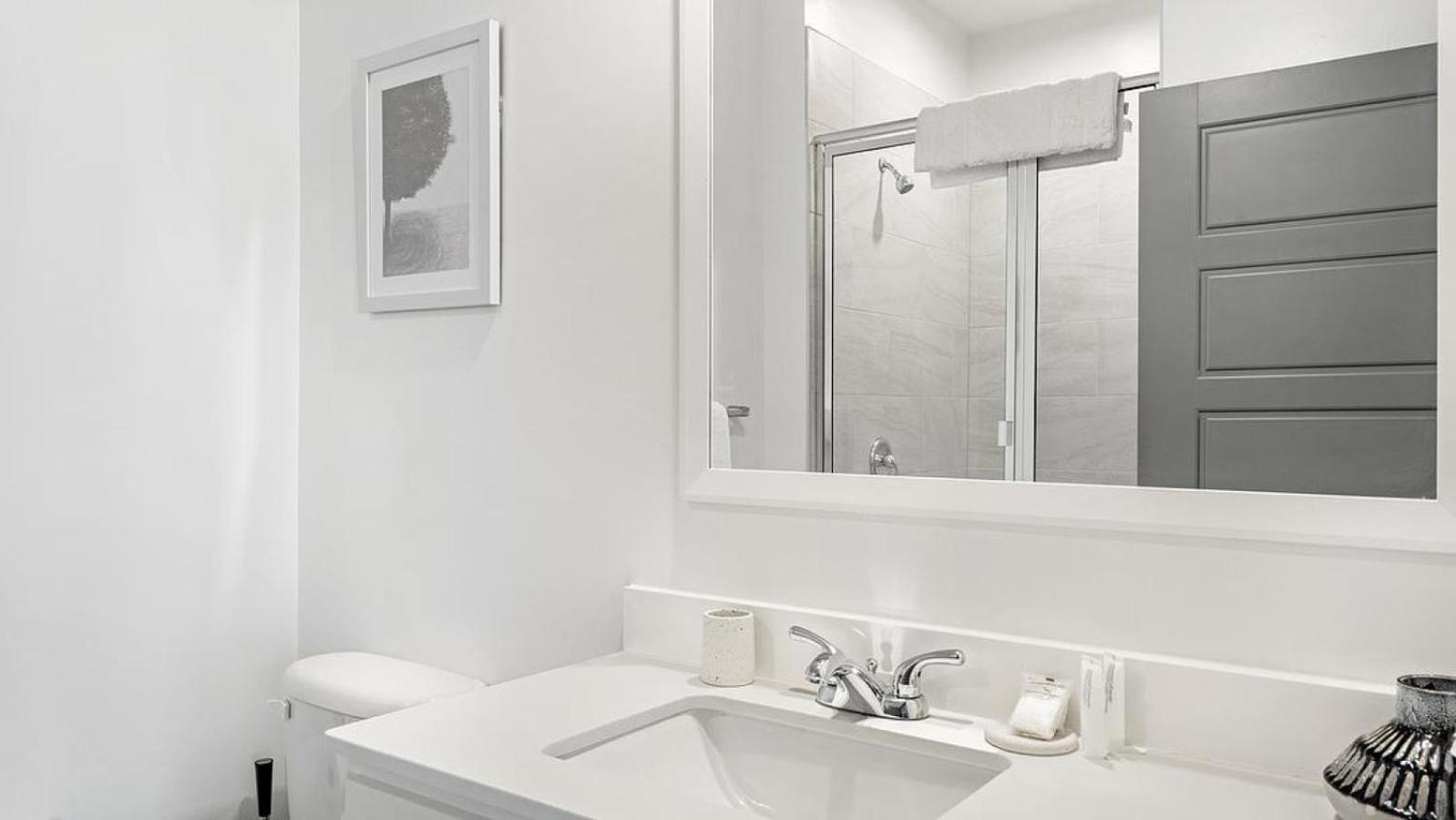 Landing Modern With Amazing Amenities Apartment Charlotte