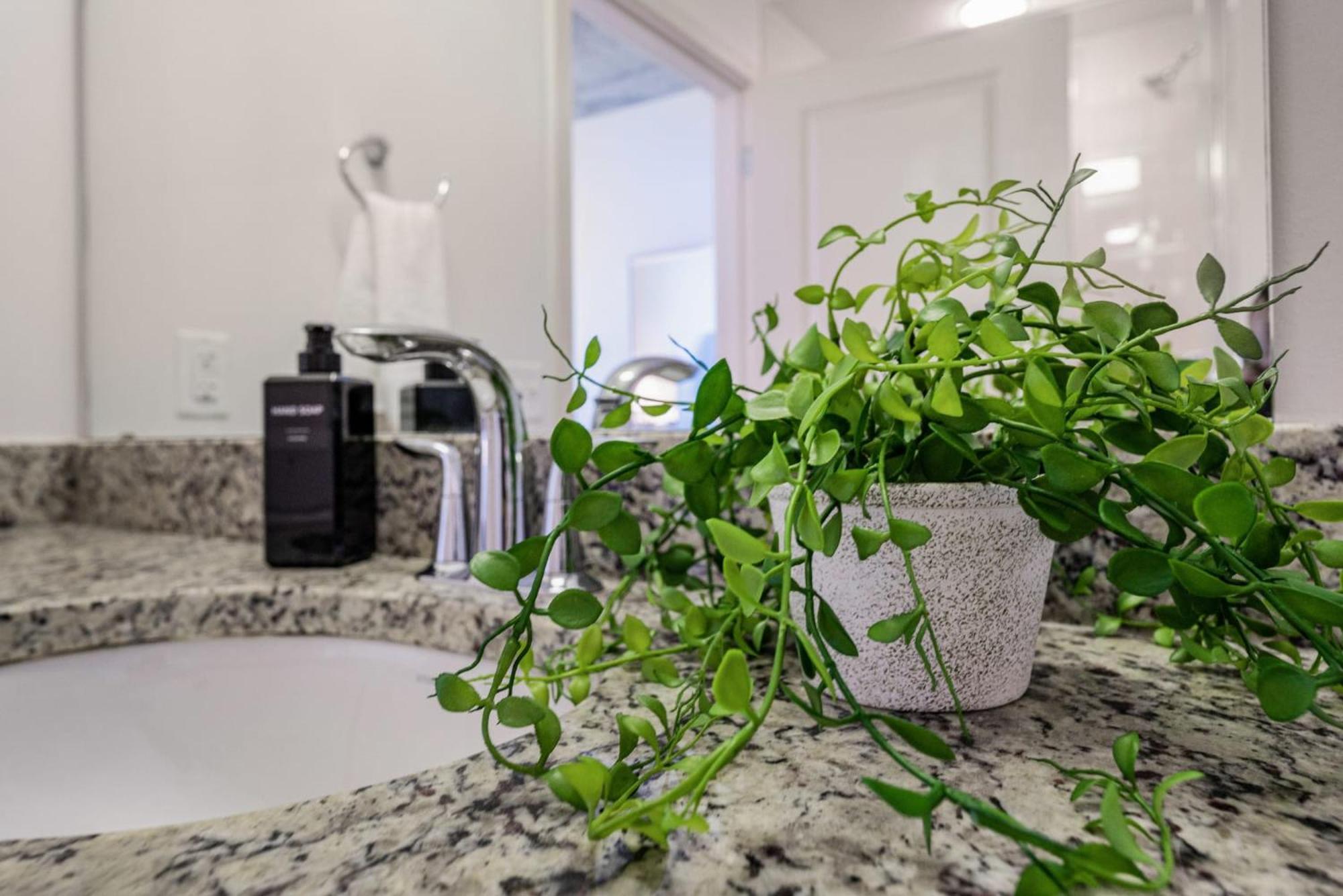 The Ascher In * Charlotte