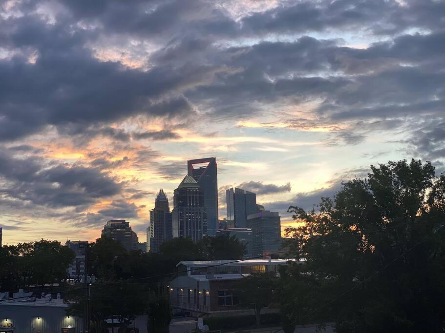 South End Pool Firepit Arcade Charlotte