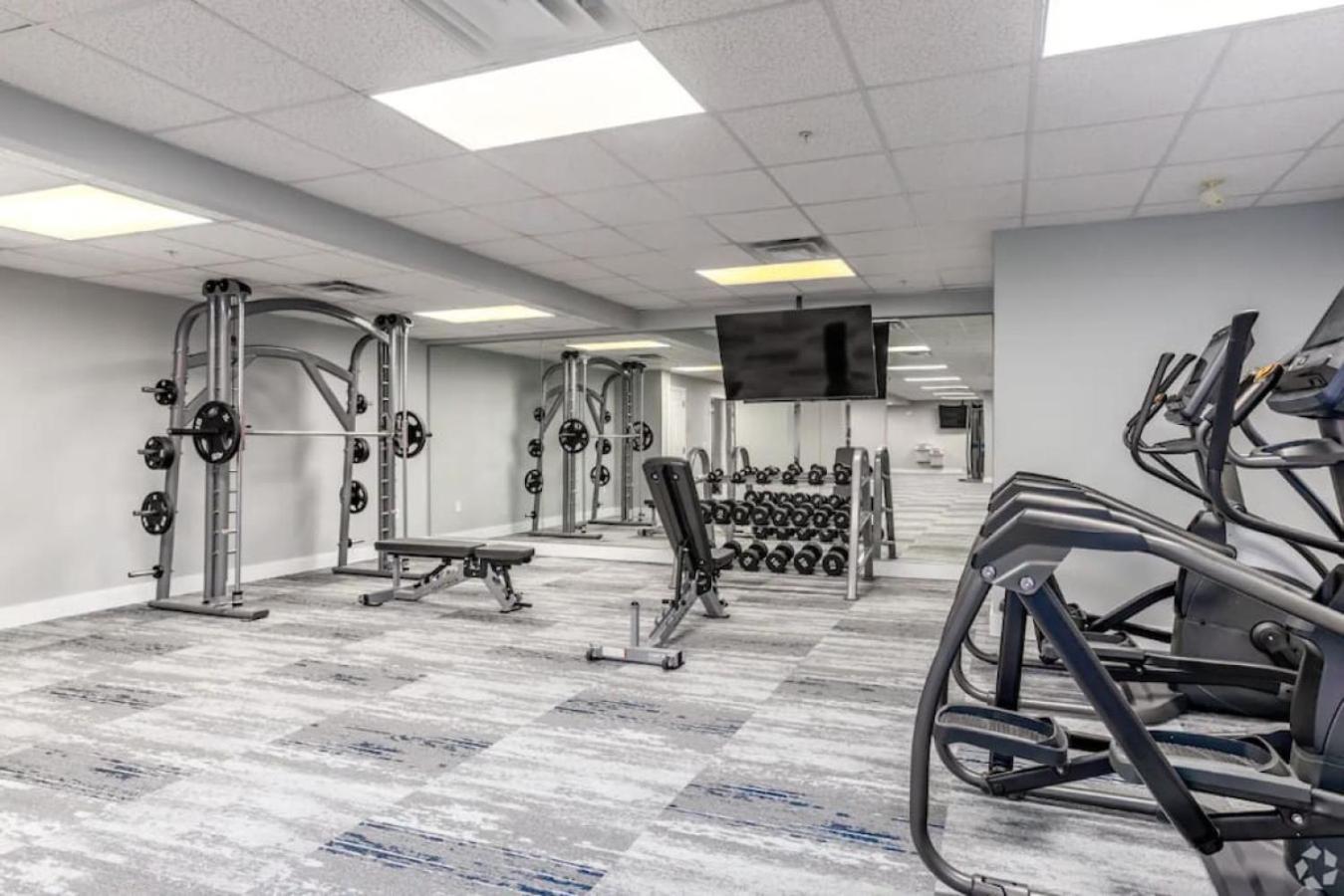 Urban Retreat - Free Parking, Wifi, Walk To Stadium Apartment *