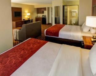 Comfort Airport Hotel 3*