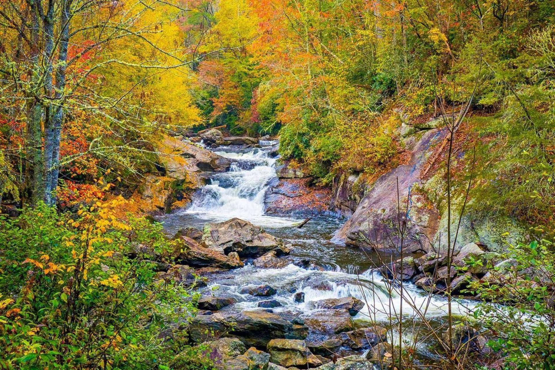 Luxury Uptown Penthouse