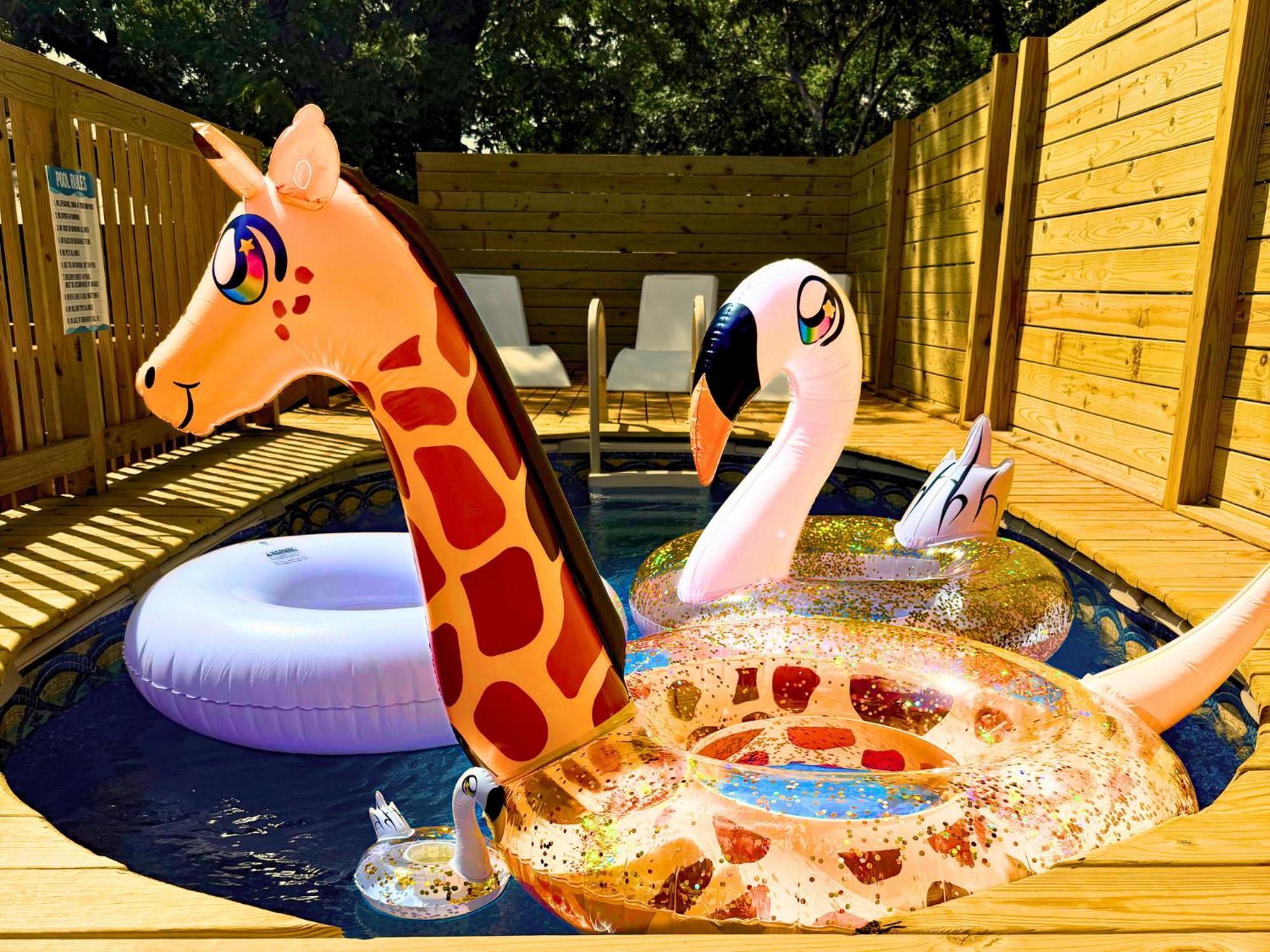 Apartment Venetian Beds, Outdoor Barrel Sauna, Hot Tub, Cold Plunge