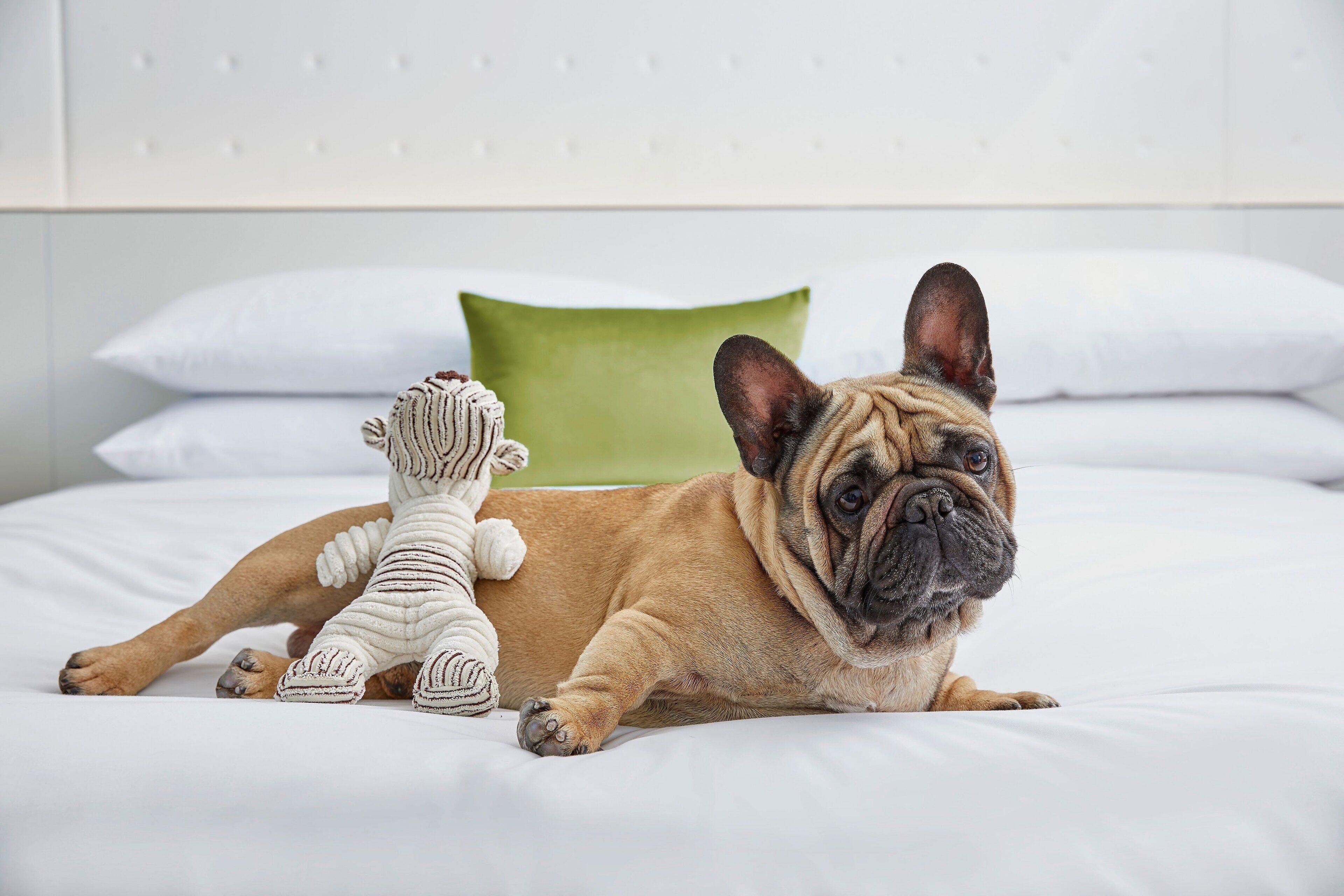 Marriott Southpark 4* Charlotte