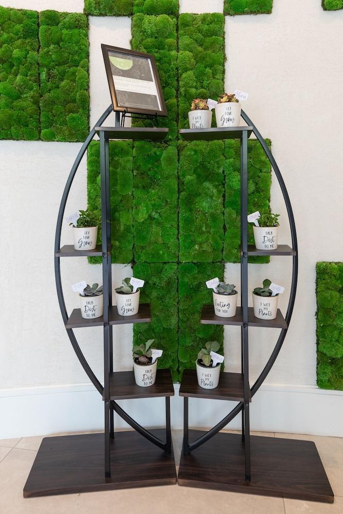 Hyatt Centric Southpark Hotel Charlotte