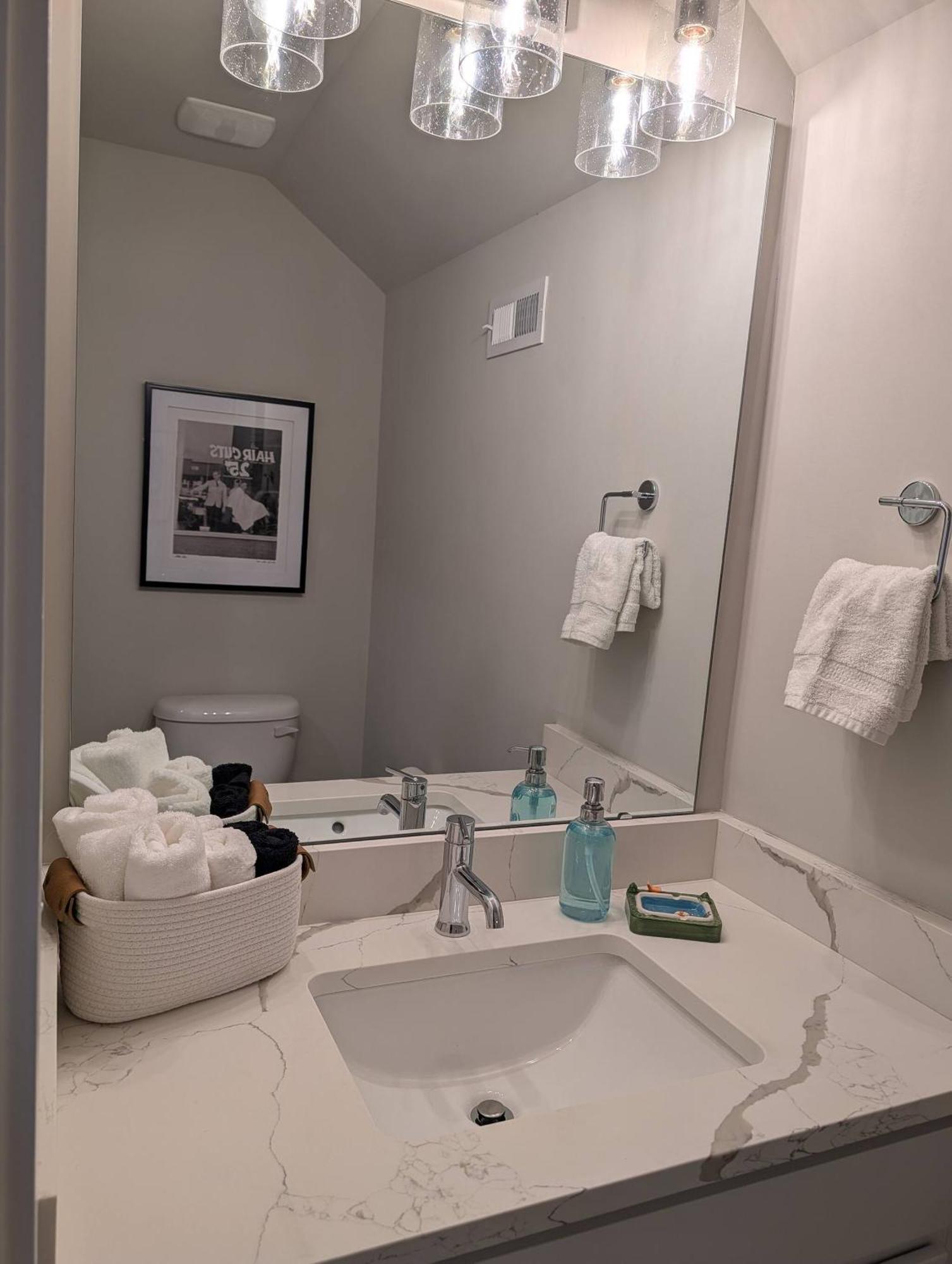 Queen Castle - Rooftop, Garage, King Beds, Pet Friendly Holiday home Charlotte