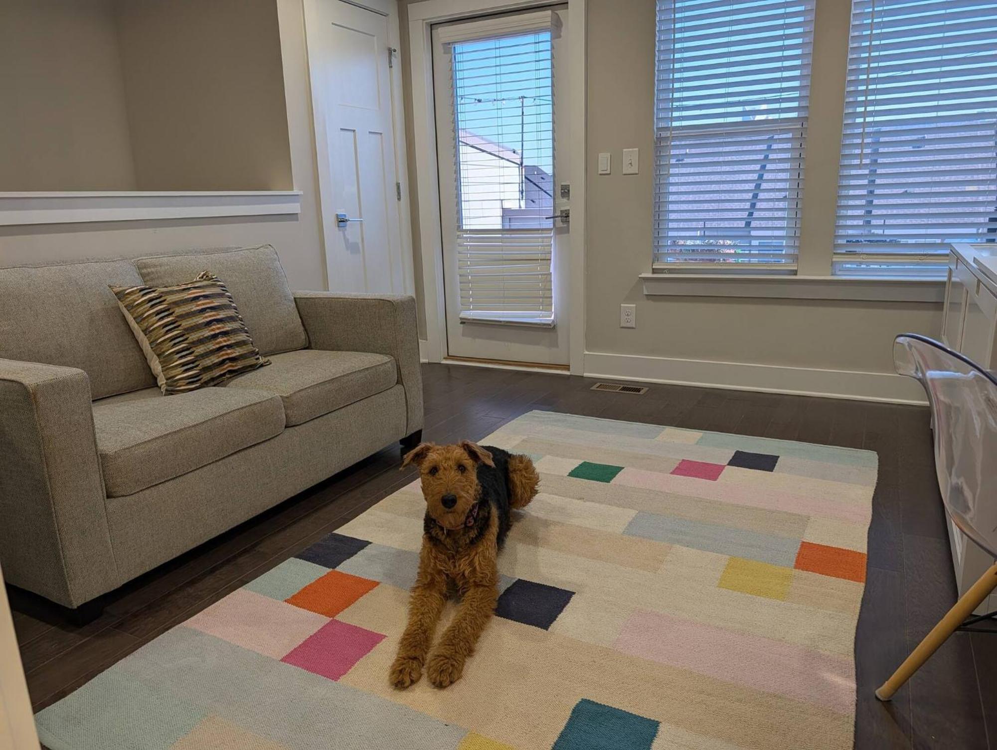 Queen Castle - Rooftop, Garage, King Beds, Pet Friendly Holiday home