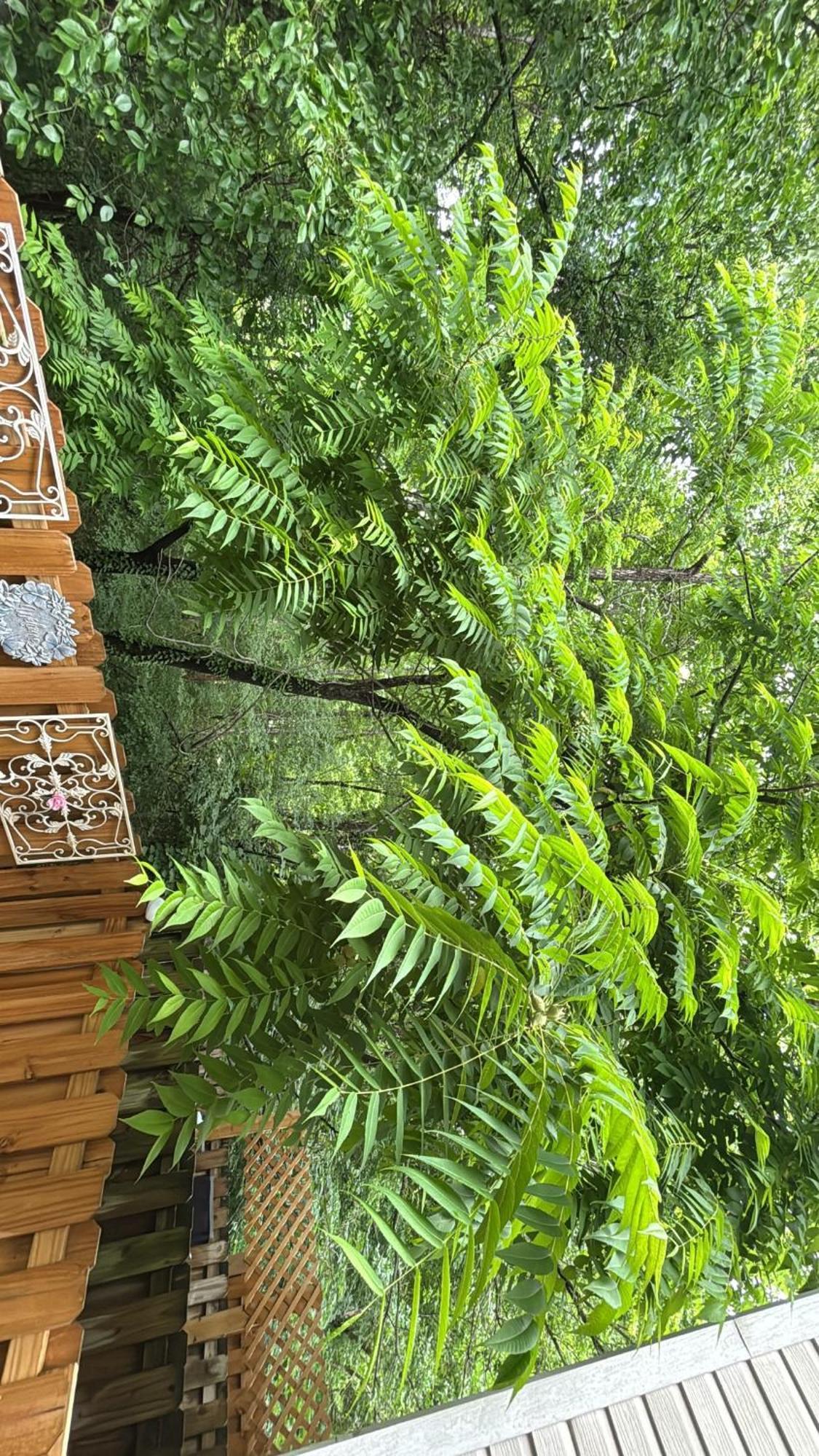 Holiday home Cozy Retreat With Led And Balcony