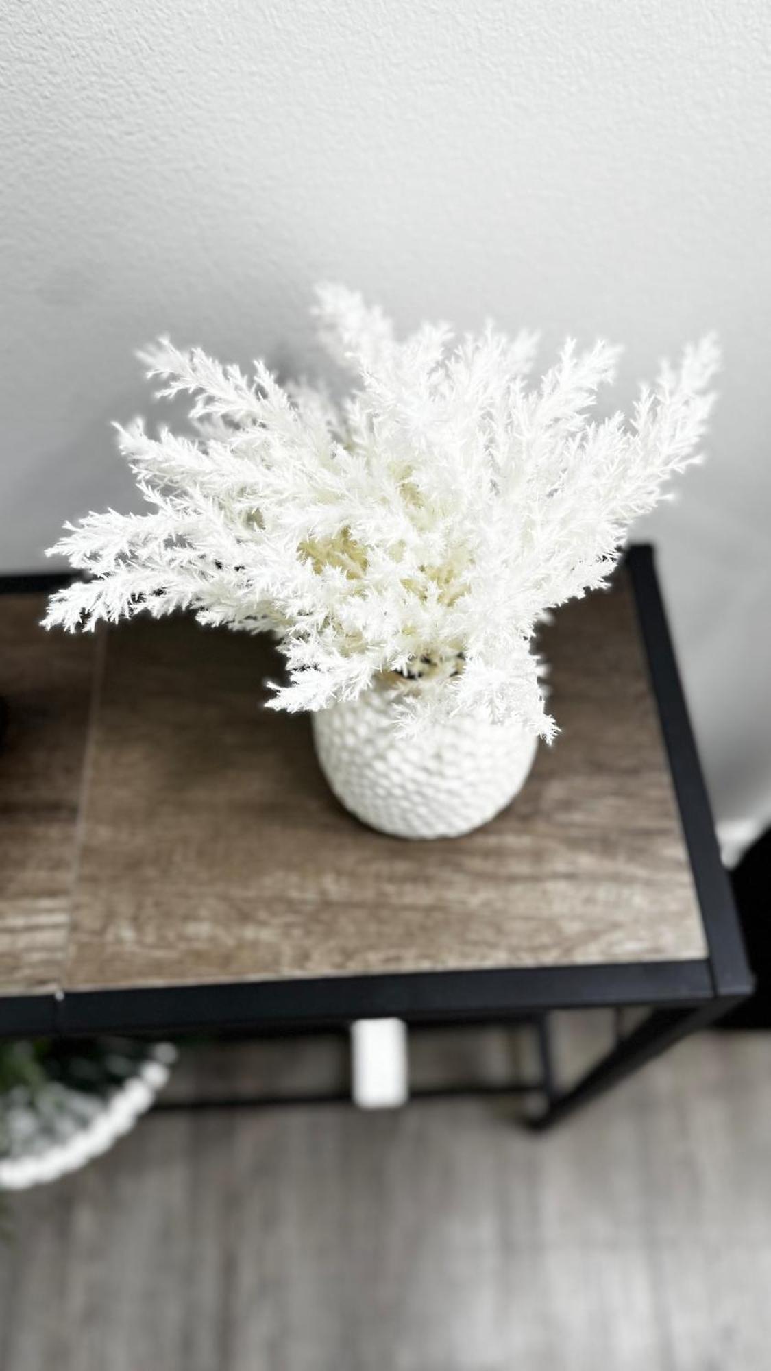 Cozy Corner Escape Entire In Holiday home *