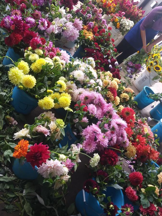 Hotel Baymont By Wyndham Charlotte-airport Coliseum Charlotte