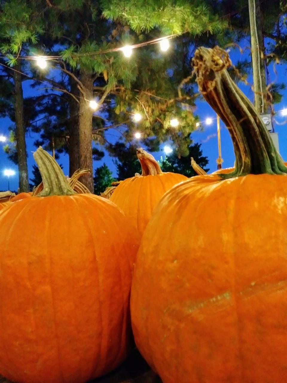 Baymont By Wyndham Charlotte-airport Coliseum Hotel Charlotte