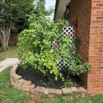 2br 1ba Duplex House King Beds Great For Small Groups Close To Uptown Attractions Apartment Charlotte