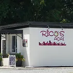 Organic Modern ~ King Bed ~ In Plaza Midwood