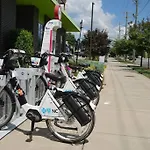 Modern Luxury ~ King Bed ~ 1Br In Plaza Midwood