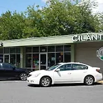 Organic Modern ~ King Bed ~ In Plaza Midwood