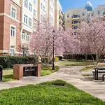 3Br Premium Downtown Apartment With Office & Gym