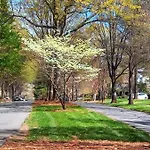 Modern 1br In The Heart Of Clt Holiday home Charlotte