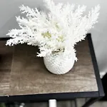 Cozy Corner Escape Entire In Holiday home *