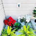 Cozy Corner Escape Entire In *