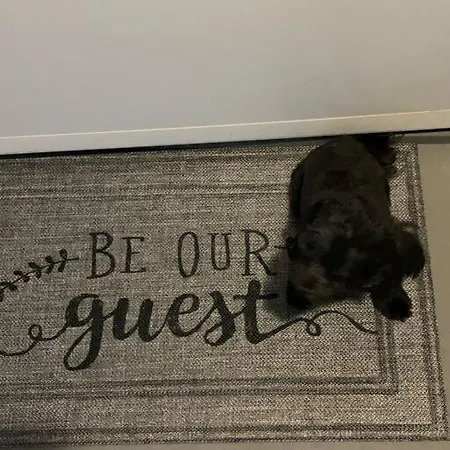Be Our Guest Boho 2.0 Apartment Charlotte