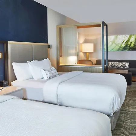 Hotel Springhill By Marriott At Carowinds Charlotte