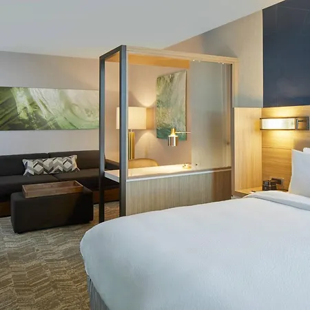 Hotel Springhill By Marriott At Carowinds