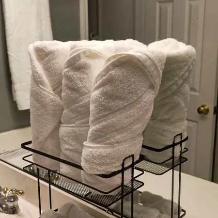 Spacious Near Up-town And Clt Airport 3*