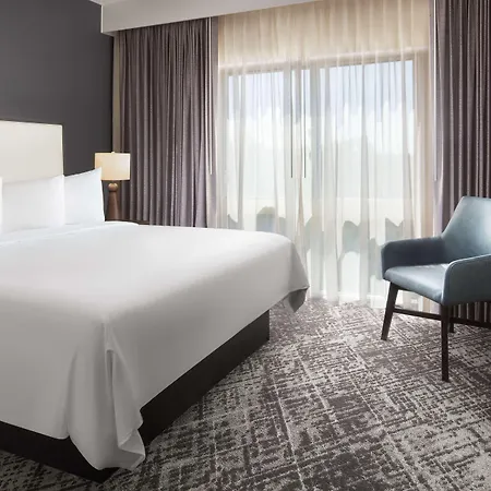 Hotel Hilton Airport 4*