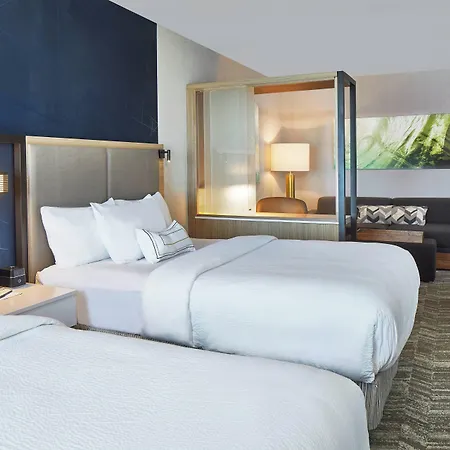Springhill By Marriott At Carowinds Charlotte