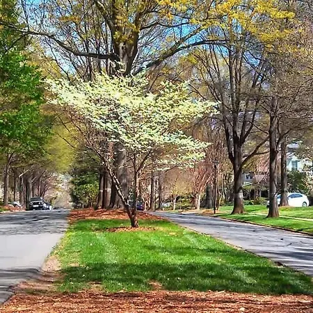 Elegant 2br With Covered Patio Charlotte