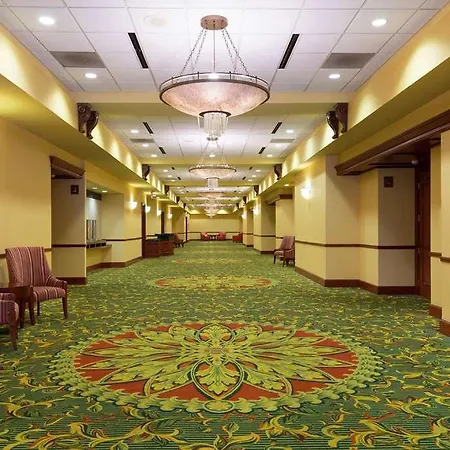 Hilton Airport 4*