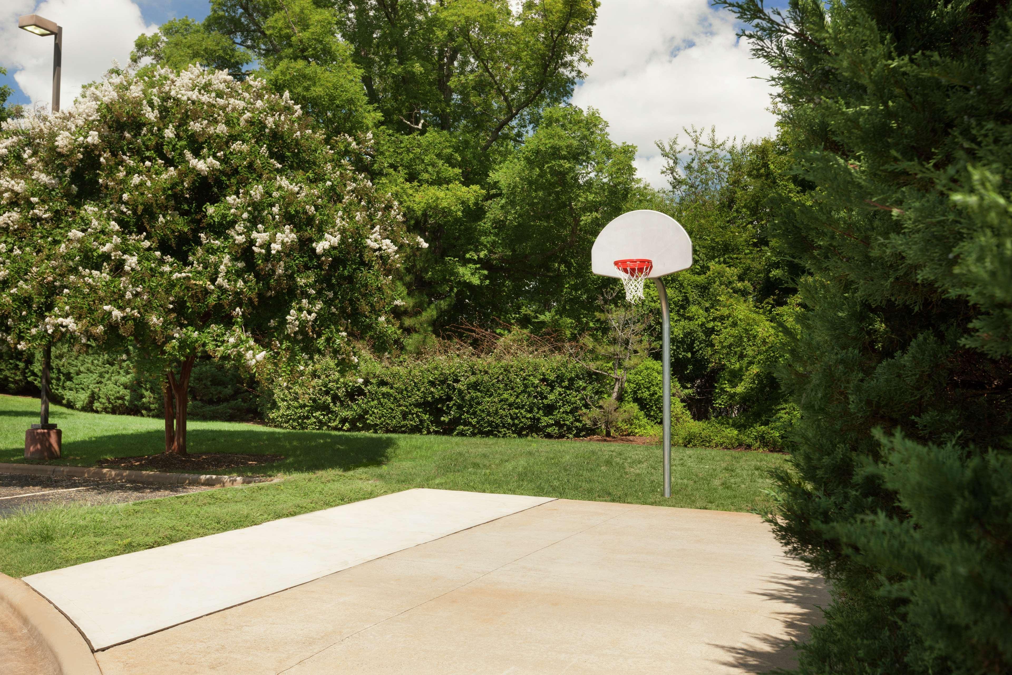 Homewood By Hilton Airport Charlotte