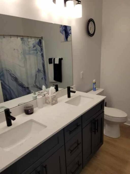 South Charlotte's Cozy & Modern Apartment Charlotte